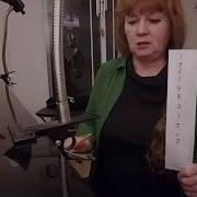 Шумовой Оркестр В Траве Сидел Кузнечик Скачать