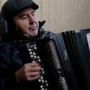 Музыка Без Слов Уличный Музыкант Баянист