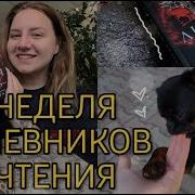 Лисья Тень Джули Кагава