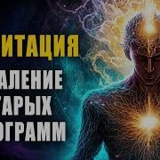 Медитация Удаление Старых Программ И Защита Тела От Болезней Ливанда Медитации