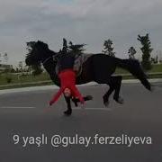 Гюлай Ферзелиева