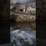 Ыйык Куран Окуу