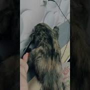 Не Матерится Тот Кто Ничего Не Делает