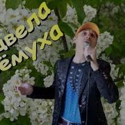 Сергей Орлов Черёмуха