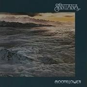 Carlos Santana She S Not There