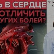 Сердца Камнем Упала