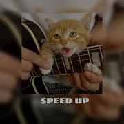 Тепловизор Speed Up