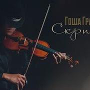 Гоша Грачевский Скрипач