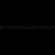Are You Falling In Love Memphis Daytona