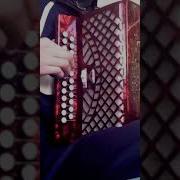 Нэнси Девушка Мечты На Гармони