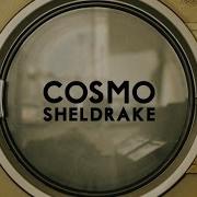 Cosmo Sheldrake The Moss The Moss Meme