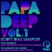 Fearless Feat Imaani Andreas Saag The Layabouts