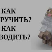 Как Приручить Овцу В Майнкрафт