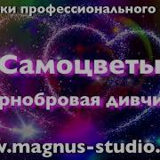 Чернобровая Дивчина Instrumental