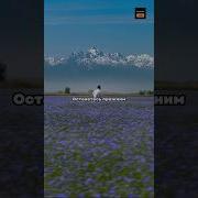 Мотивация На Деньги