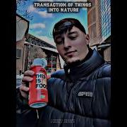 Троль Фейс