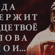 Мудрые Мысли Саломона