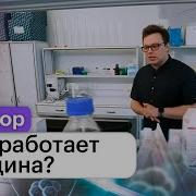 Для Чего Нужна На Самом Деле Вакцинация