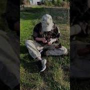 Пиу Пиу Стрельба Мем