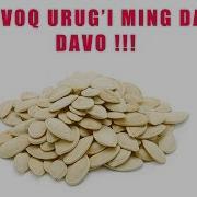 Ошковок Уруги Минг Дардга Даво
