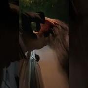Сводишь С Ума Музыка