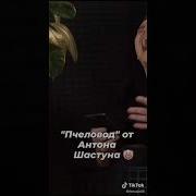Ты Пчела Я Долбоёб
