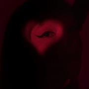 Sophie And The Giants Red Light