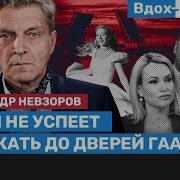 Вдох Выдох Невзоров