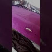 Узбек Дрочил Другу