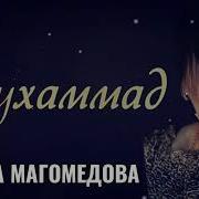 Хатима Магомедова Новинка