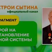 Настрой Сытина Нервная Система