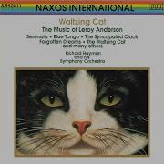 The Waltzing Cat Richard Hayman And His Orchestra