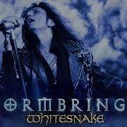 Whitesnake 2023