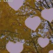 Винкс Неотразимые