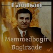 Ilkin Dovletzade Sevmeyir Qoy Sevmesin