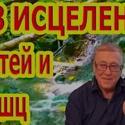 Матрицы Гаряева Кости Мышцы Суставы