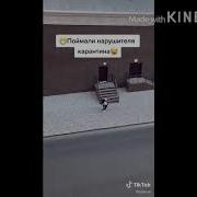 Уклонение От Карантина Прикол