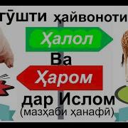 Хорами Равшан
