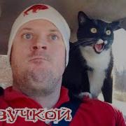 Для Озвучки Видео С Котенком