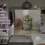 Монеточка Плейлист