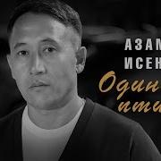 Азамат Исенгазин Одинокие Птицы