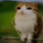 42 Братуха Кемерово