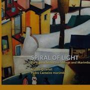 Perspective 2007 For Marimba And String Quartet Iv Evolution Arditti Quartet Pedro Carneiro Pedro Carneiro