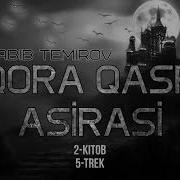 Audio Kitob Qora Qasr Asirasi 2 Trek 5 Kitob Habib Temirov