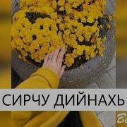 Сирчу Дийнахь