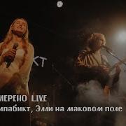 Элли На Маковом Поле