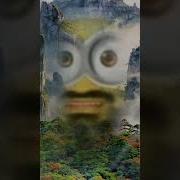 Залупа Ты Ебанный