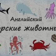 Морские Животные На Английском