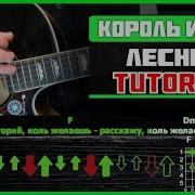 Лесник На Электрогитаре