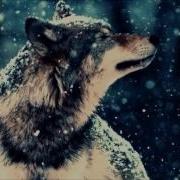 Тишинская Татьяна Слушать Онлайн Бесплатно